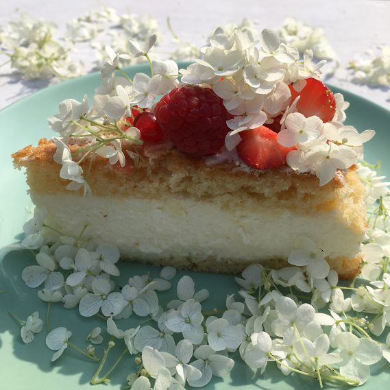 Kuchenstück auf grünem Teller von der Seite mit roten Beeren und Hortensienblüten dekoriert