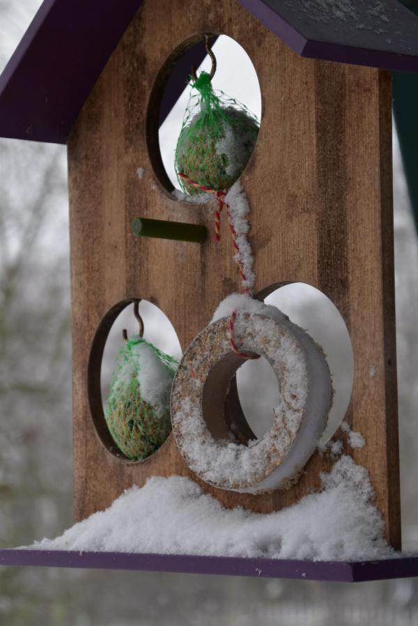 Vogelfütterung, Winter, lecker, bei uns piept es, Hilfe