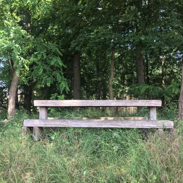 Bank im Grünen, Picknickplatz, Sommer, Draussenzeit, die kleinen Wunder, perfekter Platz