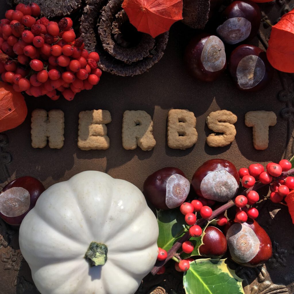 Herbstaccessoires mit Schriftzug Herbst