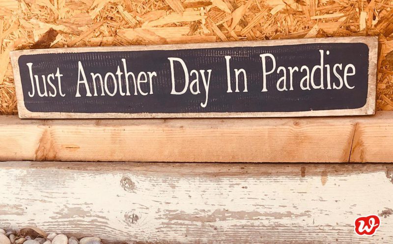 Schild, Another Day in Paradise, Sommermomente, Sommer, Paradies, Urlaub, Spruch, Zitat, Quote