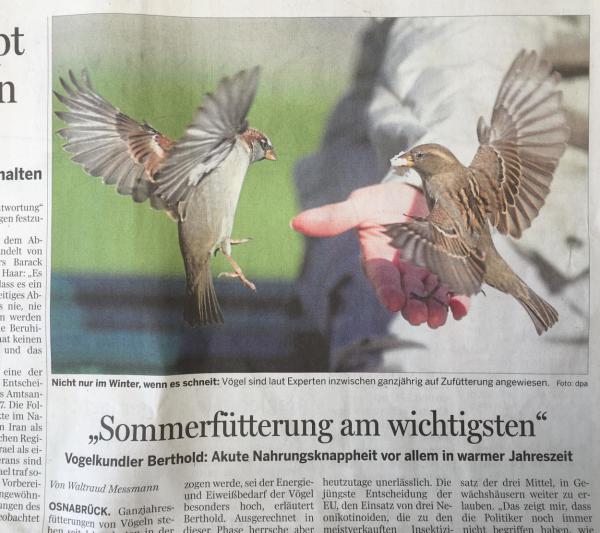 Zeitungsausschnitt Sommerfütterung Vögel, Vögel füttern, Vogelhilfe, Naturschutz