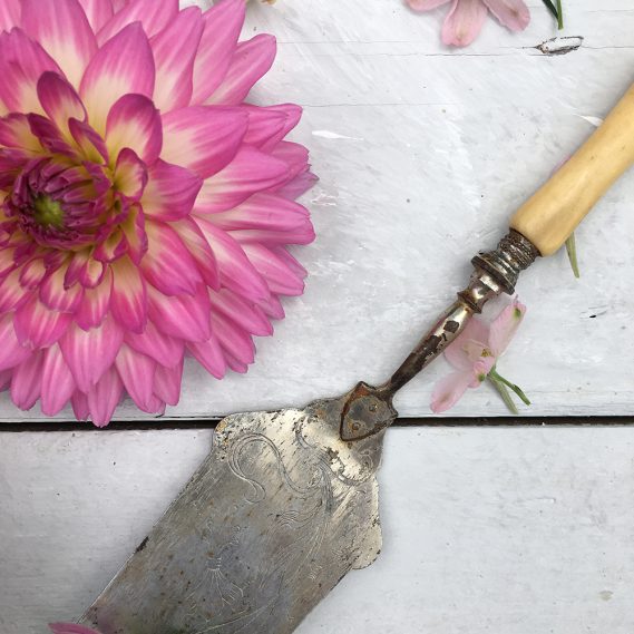 Pinke Dahlie und Tortenheber auf hellem Grund mit Streublumen