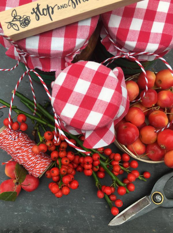 Marmelade, lecker, rot-weiß, rote Beeren, Zieräpfel