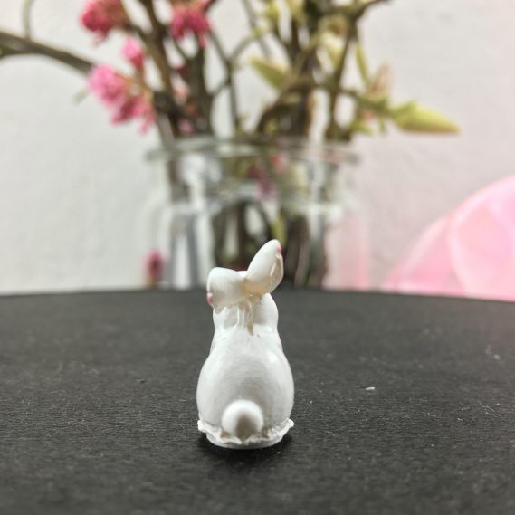 kleiner Hase von hinten