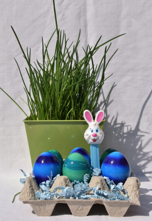 Ostereier, Frühling, Ostern, lecker, Schnittlauch, blau