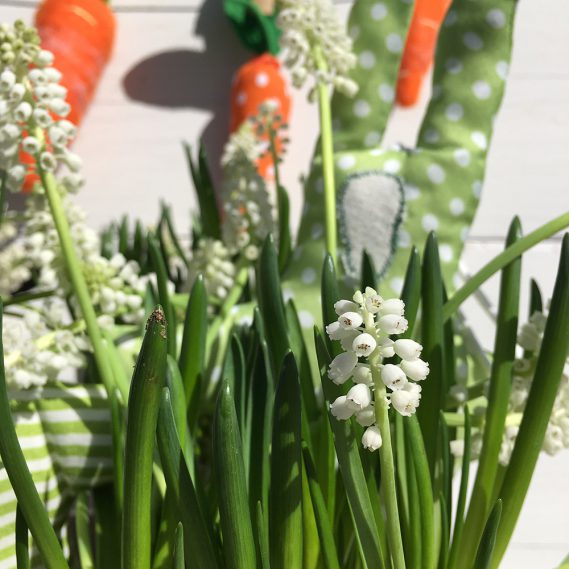 Weißes Perlblümchen vor Ostergedöns