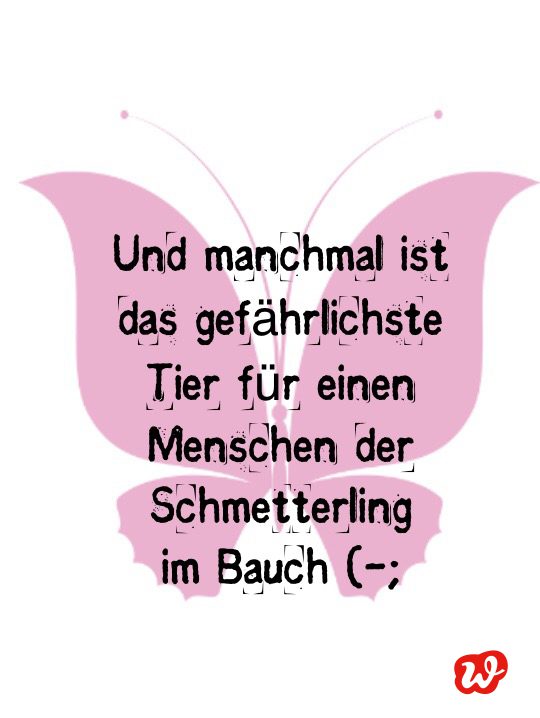 Schmetterling, Schmetterlingsquote, gefährlichstes Tier, rosa Schmetterling, Lettering Quote