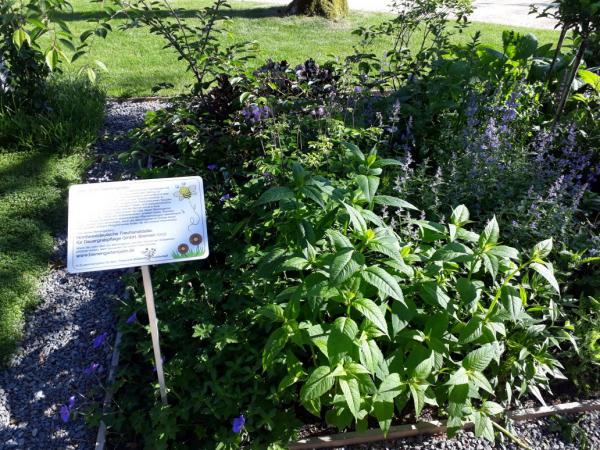 Bienengarten mit Infoschild, Landesgartenschau Bad Iburg 2018, Draussenzeit, für Gartenfreunde, Sommer