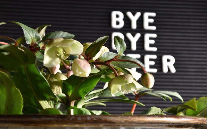 Letterboard, Bye Bye Winter, Winterblumen, Zu Ende, Jahrezeitenwechsel