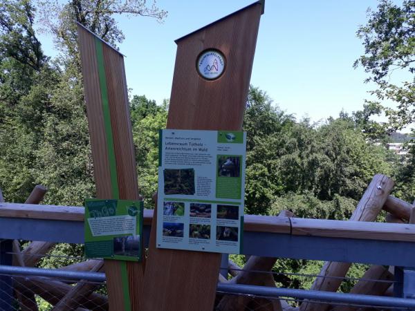 Schild Baumwipfelpfad Bad Iburg Landesgartenschau, Information, Ausflugsziel, Sommer, Gartenfreund, Gartenlustschild