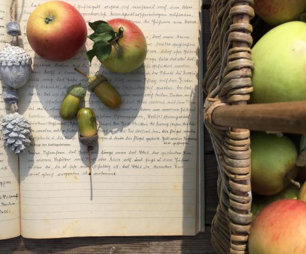 Herbst, Äpfel, Erntezeit, lecker, Eicheln, Geschriebenes