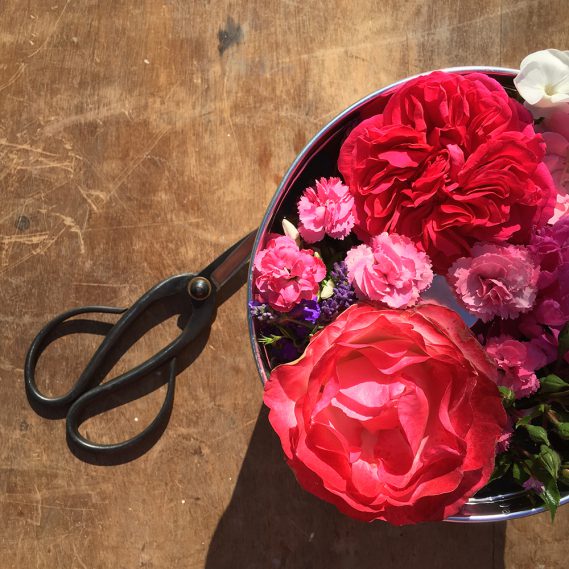 Draufsicht Blumen in Puddingform auf Holztisch mit Schere