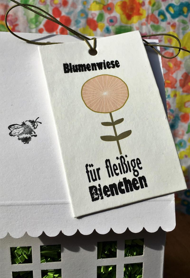 Bienenrettung, Gartenzeit, Lieblingsblumensamen, Lebensraum verbessern, Naturschutz, die kleinen Dinge, Draussenzeit