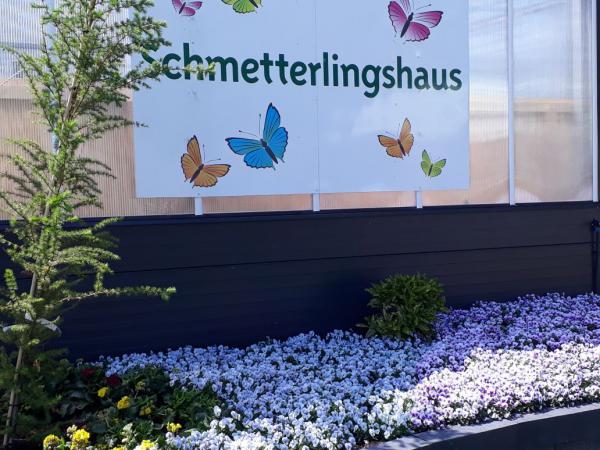 Schmetterlingshaus LaGa 2018, Bad Iburg, Sommer, Ausflugsziel, Gartenlust, Natur erleben