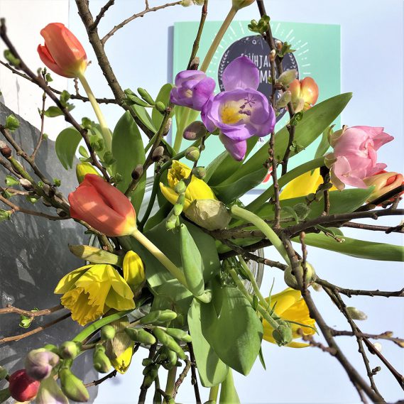 Wunderle Katalog, Frühlingsstrauß, bunte Frühlingsblumen, Vogelperspektive, Anflug Frühling, Spring is in the Air