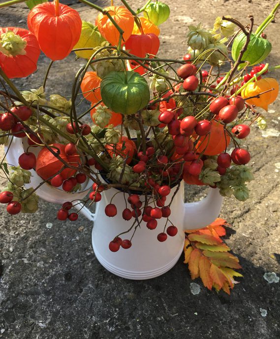 Lampionblumen, Hopfen und rote Beeren als Herbststrauß in weißer Zinkkanne, von schräg oben, auf Beton