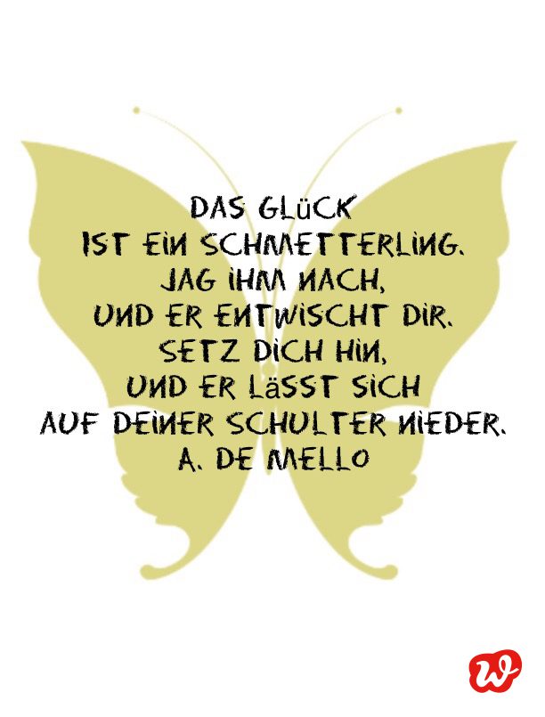 Schmetterling, Schmetterlingsquote, Lettering, Spruch