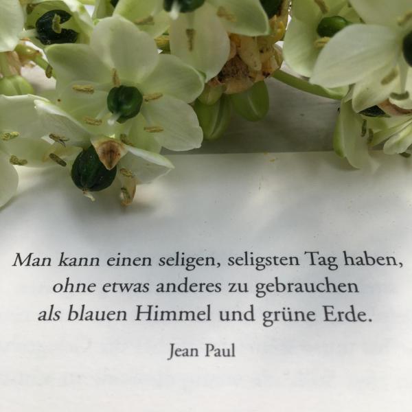 Zitat Jean Paul, Lettering mit Blumen, die kleinen Wunder, seligen Tag