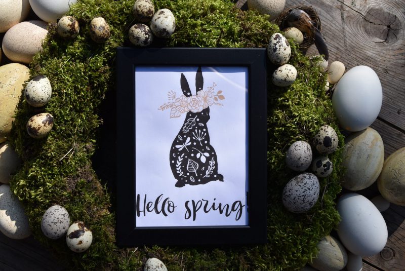 Hello Spring, Freebie, Free Printable, Ostern Frühling, Bild, Osterkranz