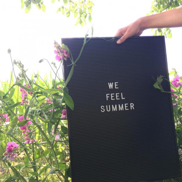 Letterboard we feel summer, Wicken, Sommerglück, genießen, Sonnenschein