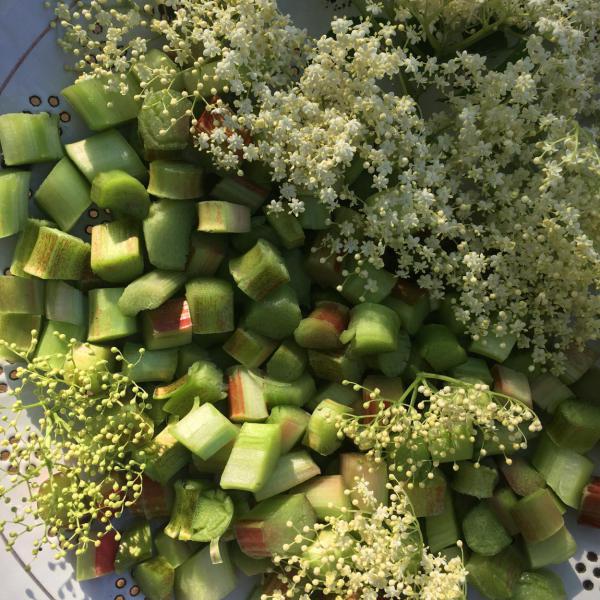 Rhabarber, Hollunder, lecker, Draussenzeit, Gartenglück, selbstgemacht, Sirup, Crumble