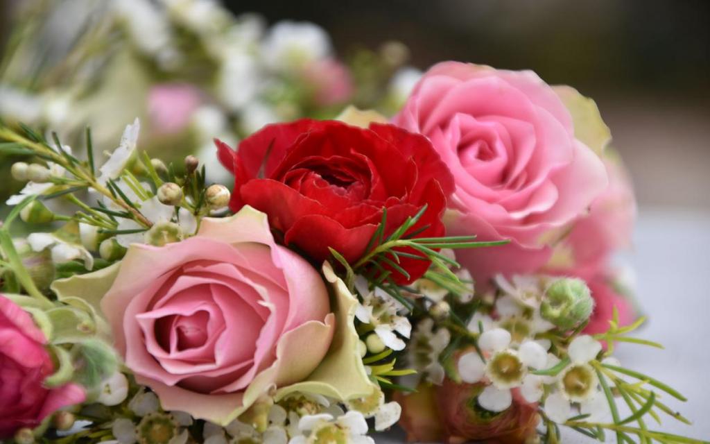 Blumenkranz, Blumenliebe, Frühling, verliebt, Lieblingsjahreszeit, Detail, Rosen und Wachsblumen