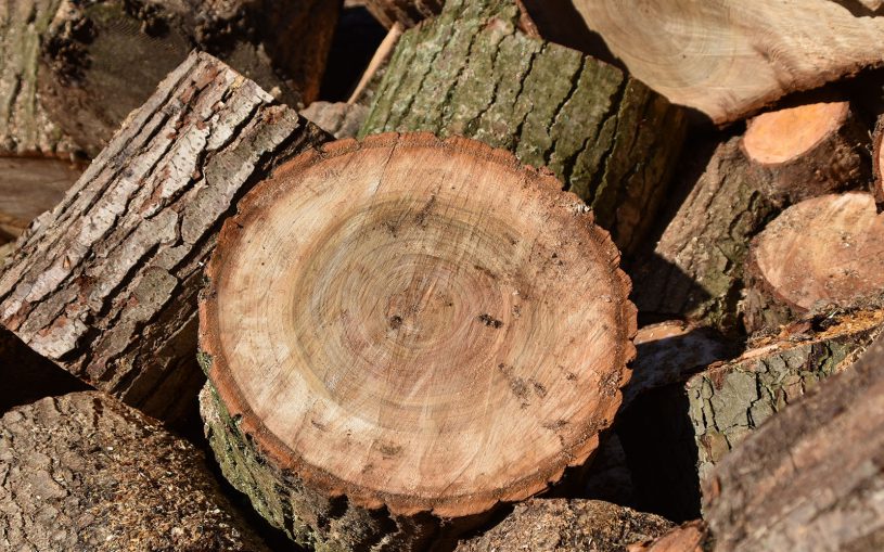 Holz, Brennholz, vorgeschnittenes Holz, heizen, Feuer