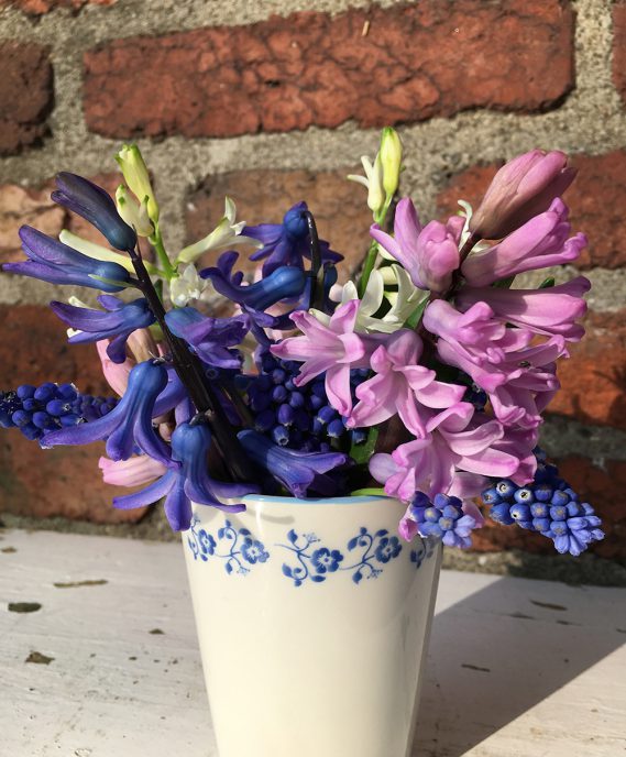 blaulastiger Gartenstrauß in Tasse vor Steinwand