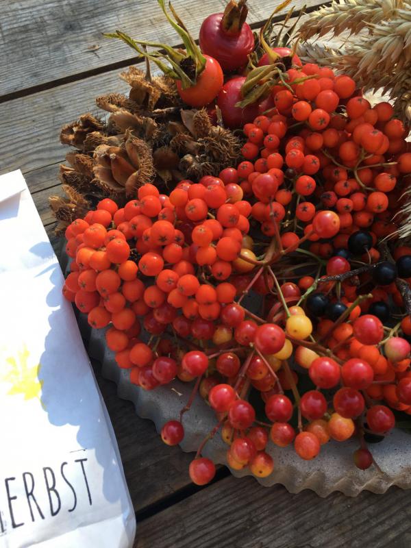 Herbst, Beeren, Hagebutten, Bucheckern, Wunderle 1 Tüte Herbst