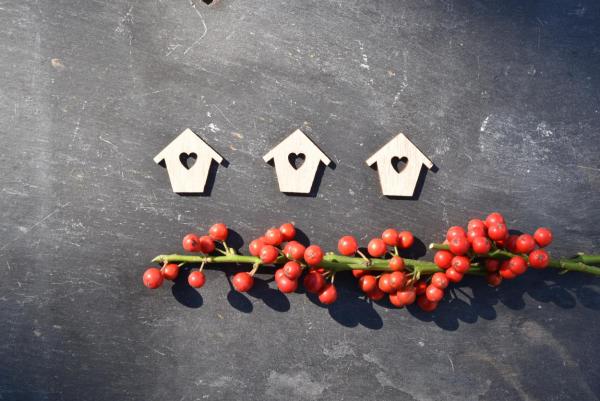 Herbst, Vogelhäuschen mit Vogelbeeren, DIY, es piept, gefiederte Freunde, Vogelfreund