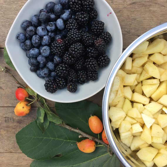 Blaubeeren, Brombeeren und Apfelstücke in Schüsseln von oben, auf Holztablett