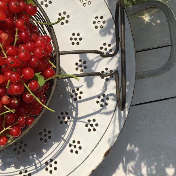 Johannisbeeren auf weißem Durchschlag angeschnitten nah