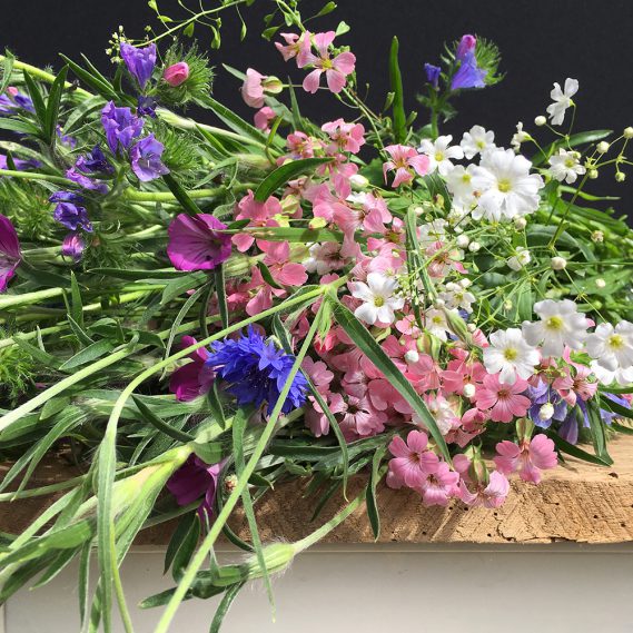 Wildblumen kunterbunt auf Holzhocker