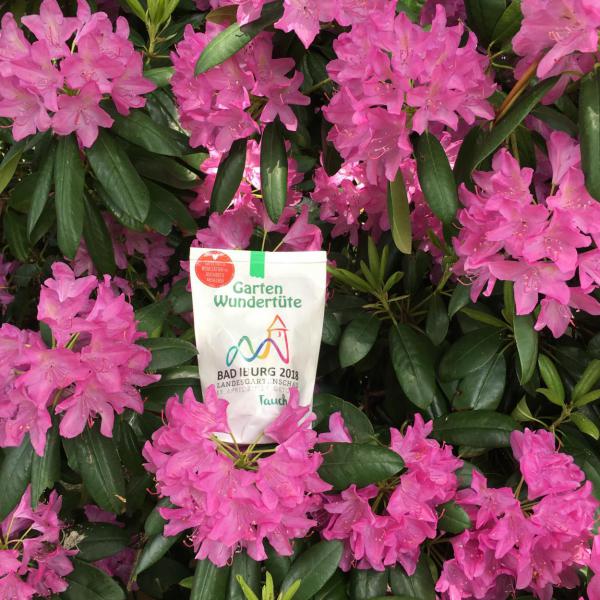 Wunderle Landesgartenschau 2018 Wundertüte, Rhododendron, Blumenliebe, Gartenlust, Sommer, Pfingsten, massgesfertigt, Geschenkideen, Mitbringsel