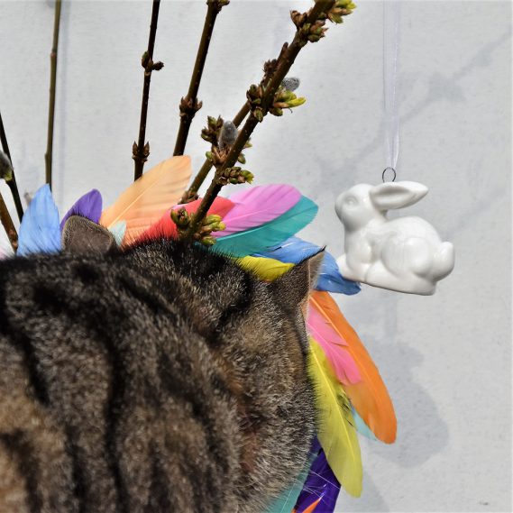 Ostern, Frühling, Vorfreude, Osterhase, Kater, Geschenkideen, Feierlaune, in den Vordergrund drängen, dabei sein, Federkranz