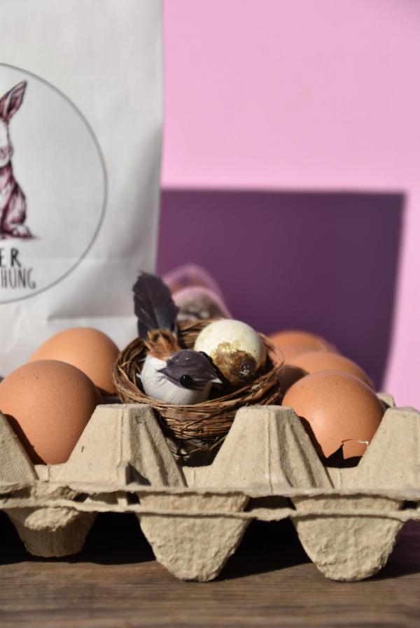 Wunderle, Osterüberraschung, detailverliebt, Nistideen,Ostern, Frühling