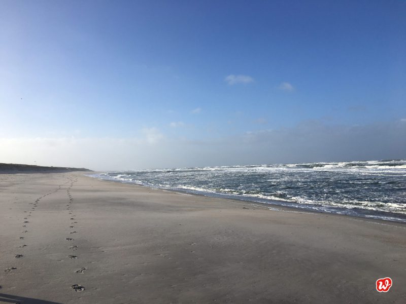 Nordsee, Strand, Meerzeit, Vitamin Sea, leerer Strand