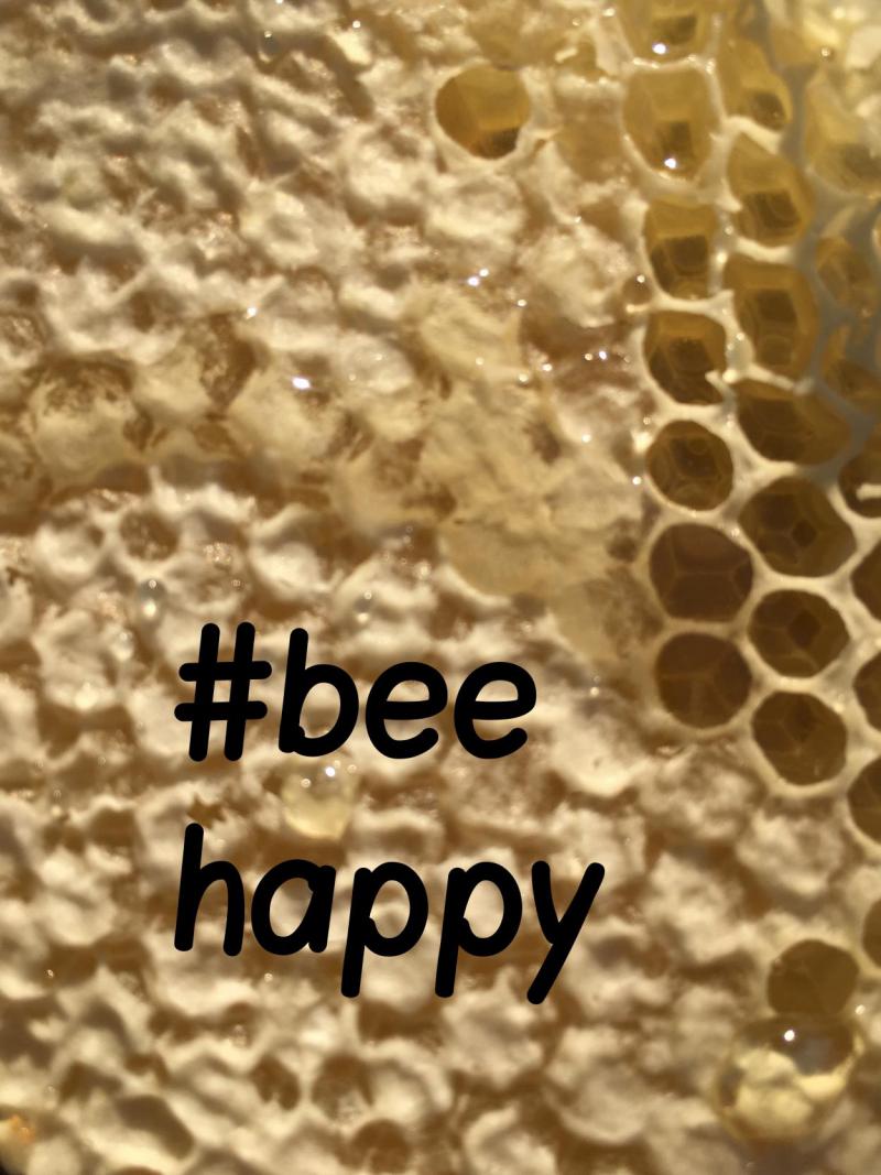 Wabe, Bienen, Bienenrettung, bee happy, Naturschutz, Engagement, die kleinen Dinge