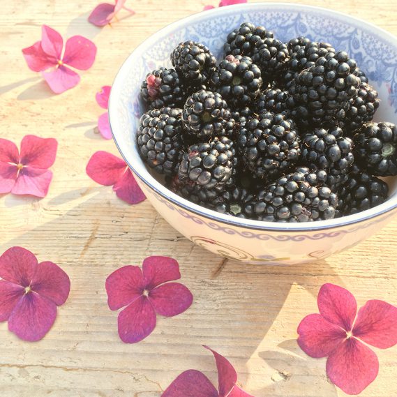 Brombeeren in Tasse mit einzelnen Hortensienblüten auf Holz, besonnt