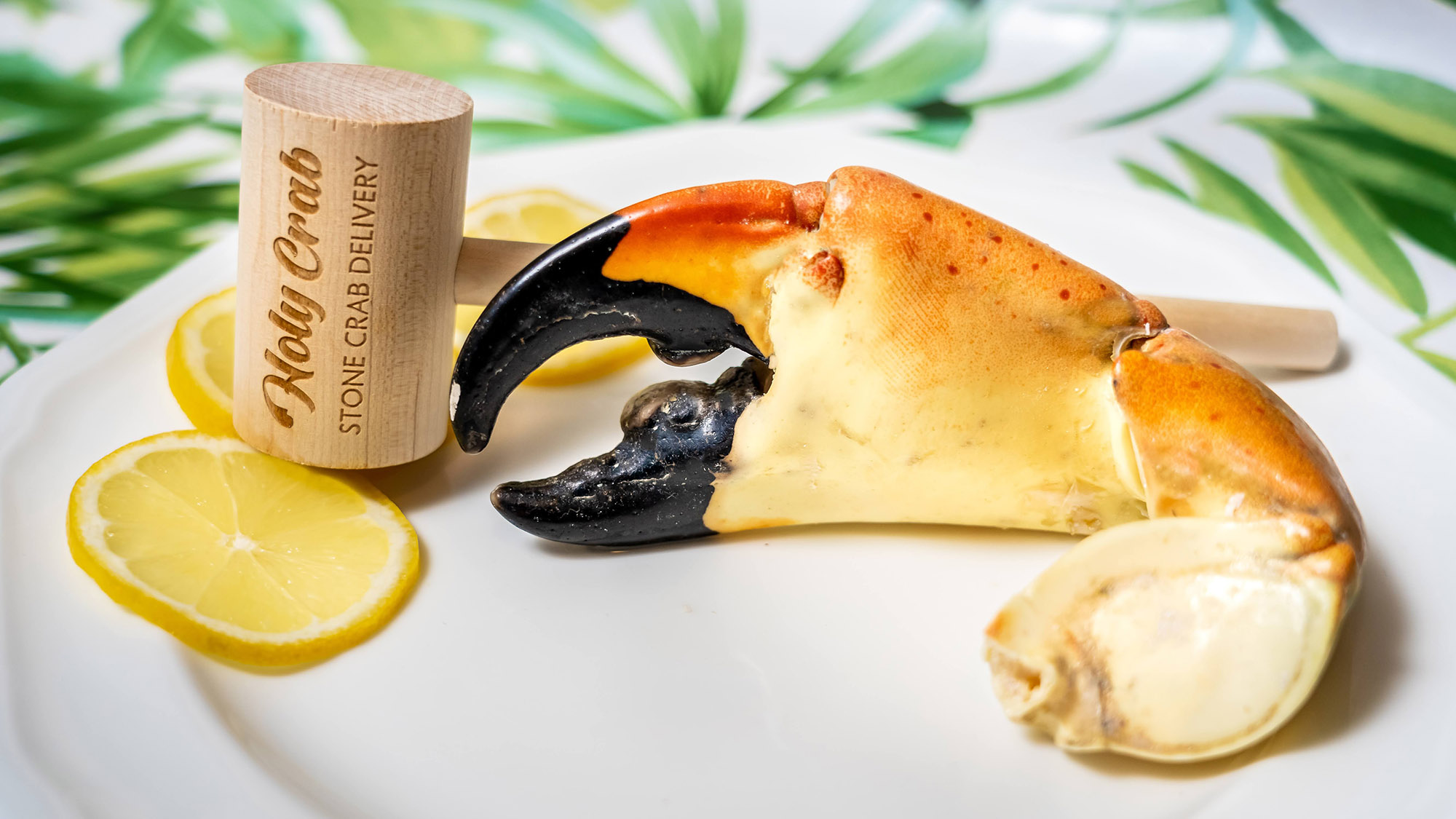 Can Crabs Regrow Limbs
