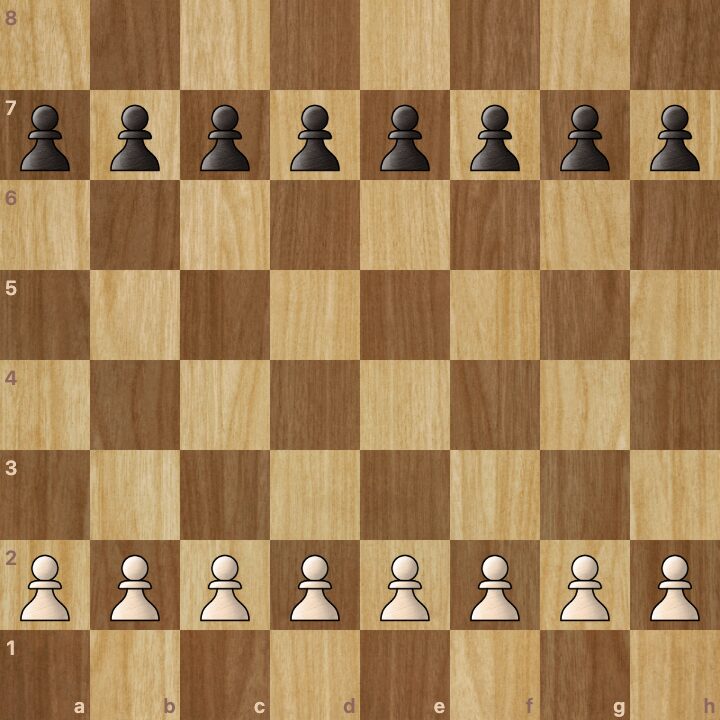 A game of chess with only pawns