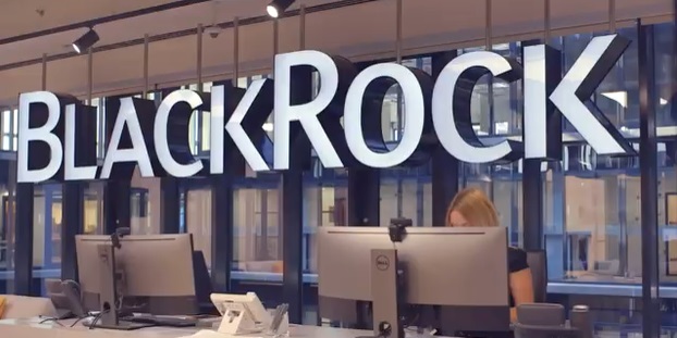 BlackRock expande recursos de votação por procuração para investidores individuais