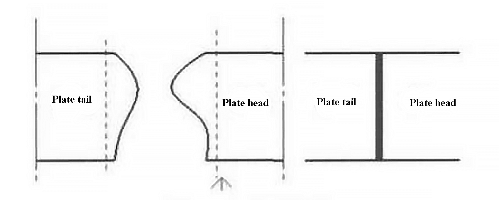 Fig.1 Schematic diagram of the head