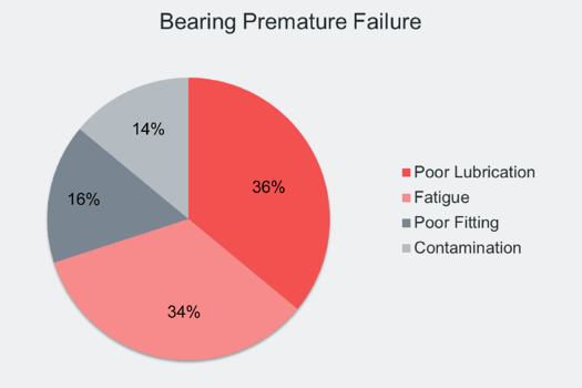 The image shows a graph of the causes of premature bearing failure