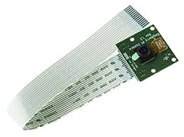 Imagem típica da câmera Raspberry Pi