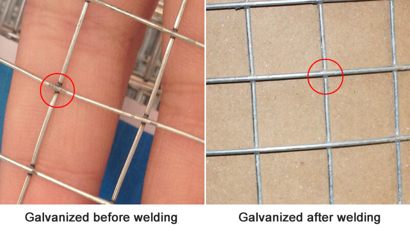 malha de solda galvanizada