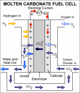 Célula de combustível de carbono fundido