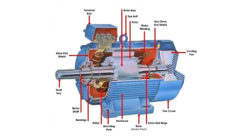 Three phase induction motor