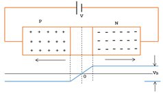 PN connection with forward and reverse bias